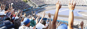 FormulaEFans
