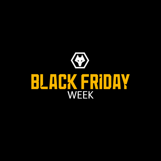 Black Friday Sales ECAL